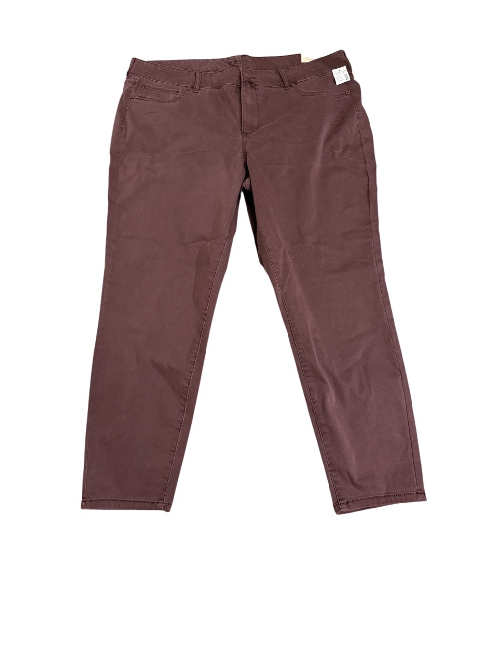 Maurices  Chino Pants in Deep Brown